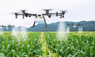 Điện Biên sẽ thử nghiệm 6000 chuyến bay UAV phục vụ đời sống, sản xuất