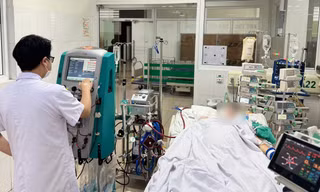 Muỗi khiến nam bệnh nhân 23 tuổi nguy kịch: Cảnh giác khi vừa hết sốt