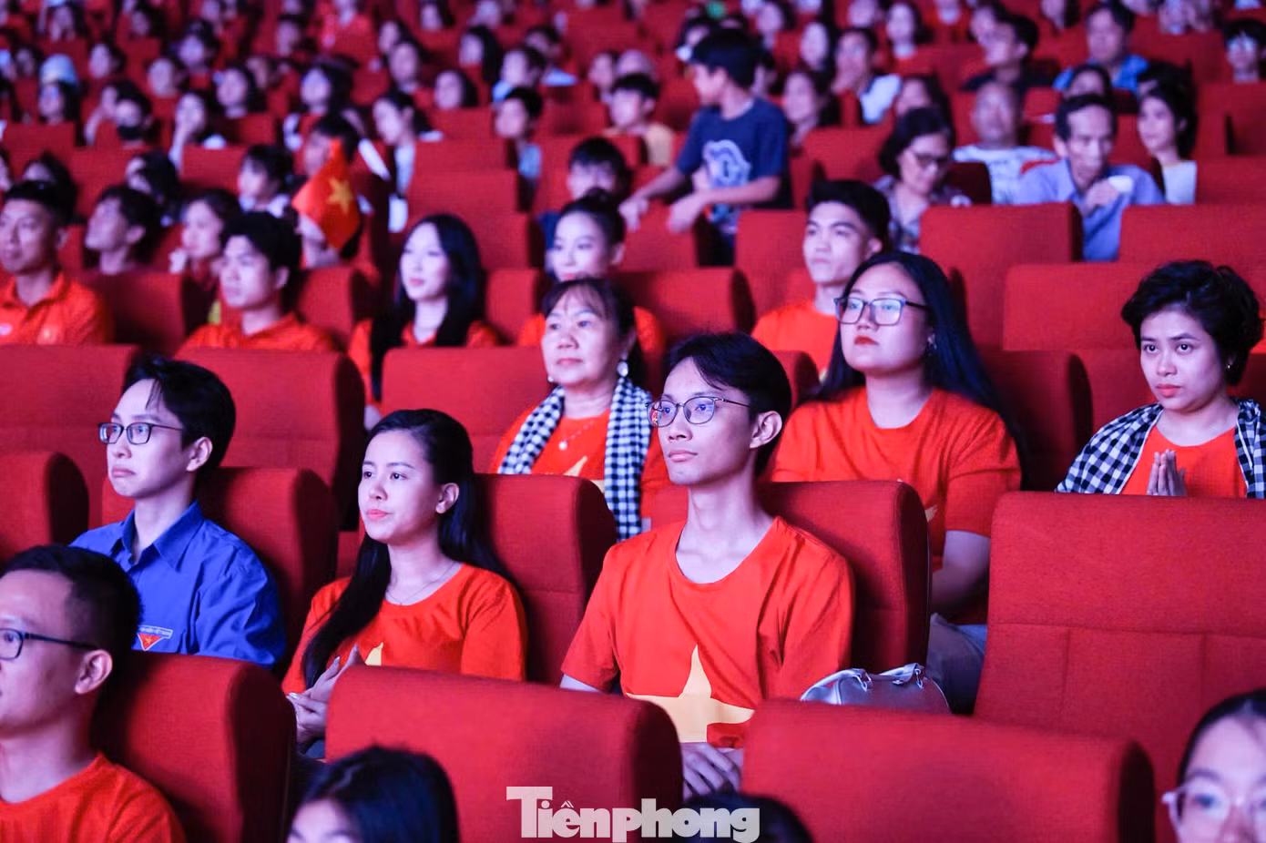 tp-tytqt3.jpg