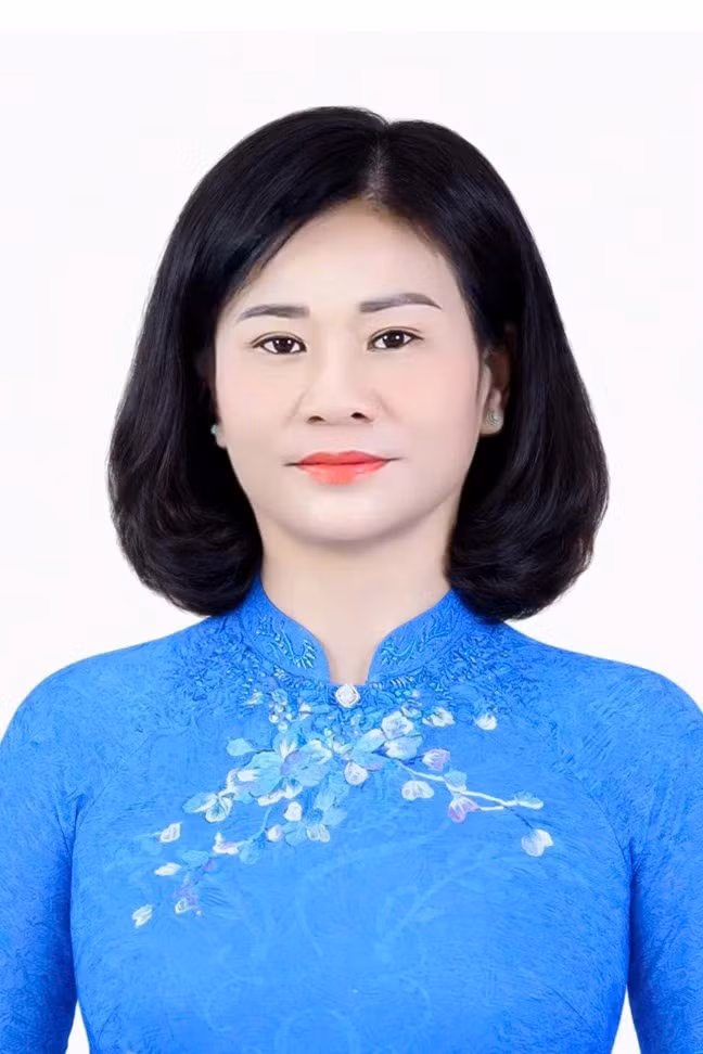 ungcu-daibieu-quochoi4.jpg