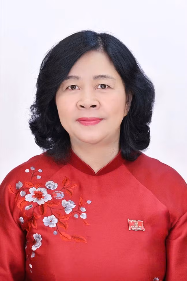ungcu-daibieu-quochoi1.jpg
