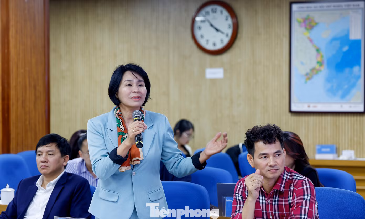 tp-hophoidong-decu3.jpg