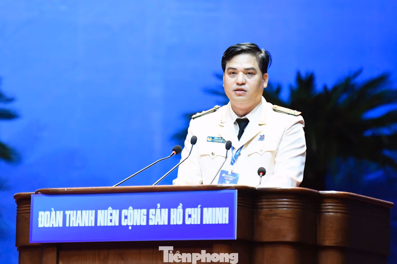 tp-01.jpg