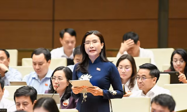 Đại biểu Nguyễn Phạm Duy Trang nêu 5 đề xuất phát triển văn hóa gắn với thế hệ trẻ