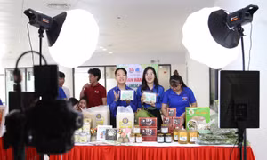 Bạn trẻ Đà Nẵng tất bật livestream chốt đơn sản phẩm OCOP, khởi nghiệp