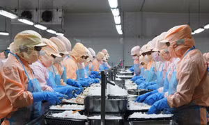 Cần Thơ trước mục tiêu thu ngân sách 30.000 tỷ đồng