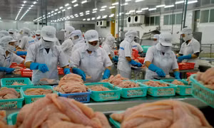 Xuất khẩu thủy sản sang Philippines tăng gấp 5 lần so với cùng kỳ năm ngoái