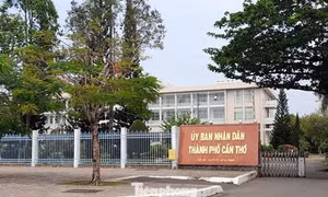 Cần Thơ hợp nhất nhiều trung tâm xúc tiến đầu tư, thương mại