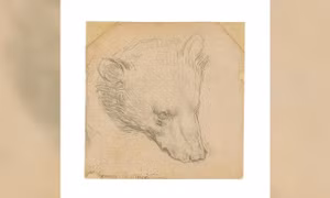 Bản phác thảo tí hon của Leonardo da Vinci lập kỷ lục đấu giá 