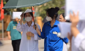 Nghệ An có 591 điểm 10, lộ diện thủ khoa đạt 56,65 điểm