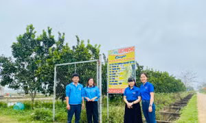 Bí thư Chi đoàn khởi nghiệp trồng trọt chăn nuôi, thu hàng trăm triệu đồng mỗi năm