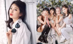 Fan đặt nghi vấn Suzy có "mối liên hệ bí ẩn" với các thành viên BLACKPINK