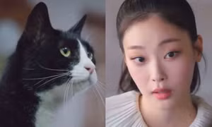 Phim Hàn thú vị nhất hiện nay: Một nữ diễn viên tỏa sáng nhờ đóng vai con mèo