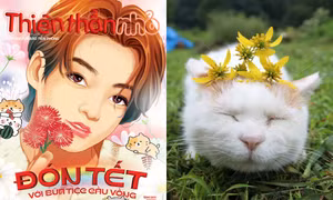 Cùng Thiên Thần Nhỏ đón Tết Quý Mão bằng cách làm quen với những chú mèo nổi tiếng