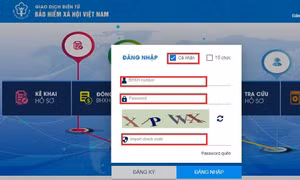 Cách đổi, cập nhật số điện thoại, thư điện tử trên ứng dụng VssID - BHXH số