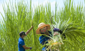 Tặng nhu yếu phẩm cho người dân trong khu vực bị phong tỏa