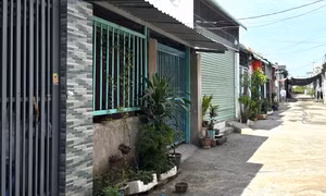 Đề nghị công an vào cuộc vụ gần 50 căn nhà liền kề xây trên đất nông nghiệp ở Bình Dương