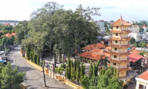 Bình Dương đầu tư trên 320 tỷ đồng xây dựng khu lưu niệm cụ Phó bảng Nguyễn Sinh Sắc