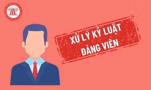 TPHCM 24/7: Thành ủy TPHCM kỷ luật một số đảng viên; Diễn biến vụ cất giấu hơn 460 iPhone ở sân bay