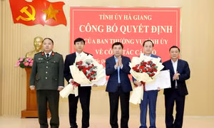 Công bố quyết định của Ban Thường vụ Tỉnh ủy Hà Giang về công tác cán bộ