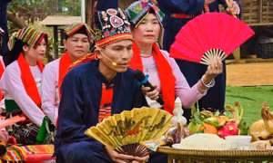Lễ hội cầu may dưới cây bông 