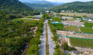 Tin mới về chủ đầu tư 2 nhà máy điện hạt nhân Ninh Thuận