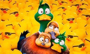 Nhà Vịt Di Cư: Đã đến lúc ra khỏi "vùng an toàn", chu du đến những vùng đất mới