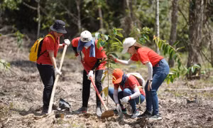 Keppel Land và báo Tiền Phong trồng 3.000 cây xanh hưởng ứng Ngày Bảo tồn thiên thiên thế giới