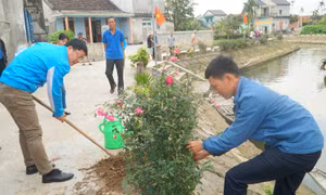 Tuổi trẻ Huế đồng loạt ra quân ngày Chủ nhật xanh