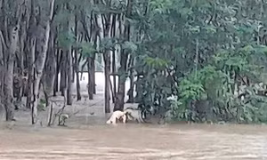 Tìm thấy thi thể người đàn ông sau hơn nửa tháng mất tích ở TT-Huế