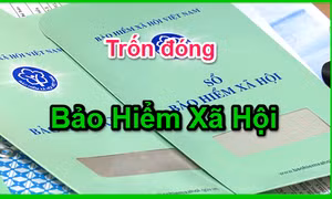 Lần đầu tiên khởi tố doanh nghiệp ở Phú Yên trốn đóng bảo hiểm xã hội