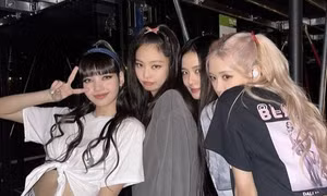 Đơn vị tổ chức concert BLACKPINK tại Hà Nội đã gửi hồ sơ xin cấp phép biểu diễn