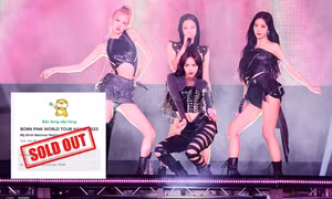 Ngỡ ế vé vì giá cao, cuộc đua concert của BLACKPINK vẫn căng như phim cung đấu