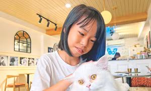 Đong đầy yêu thương với những người bạn mới