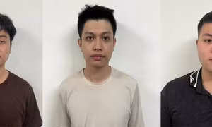 Bắt 3 đối tượng trong ổ nhóm lừa bán sinh vật cảnh để chiếm đoạt tài sản