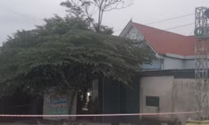 Bắt nghi phạm sát hại nữ chủ tiệm tạp hóa 