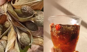 Món nước giải khát tuyệt vời từ quả ươi bay - đặc sản núi rừng, bạn đã thử chưa?