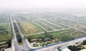 HoREA đề nghị phân biệt rõ giữa đấu thầu và đấu giá sử dụng đất