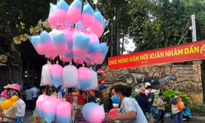 Các điểm vui chơi thu hút đông khách đến trong ngày đầu năm
