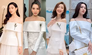 Thiết kế này có gì đặc biệt mà Hoa hậu Đỗ Thị Hà, Khả Ngân, Lan Ngọc đều yêu thích?