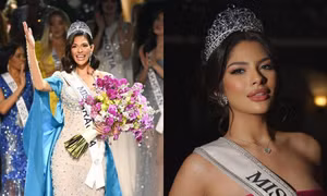 BTC Miss Universe tiết lộ số lượng thí sinh khủng, đại diện Việt Nam gặp khó khăn