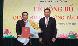 Điều động, bổ nhiệm nhân sự chủ chốt 5 tỉnh, thành phía Nam