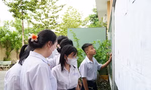 Sáng nay, TPHCM công bố điểm thi vào lớp 10 