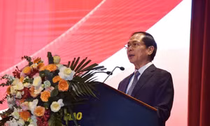 Bộ trưởng Ngoại giao Bùi Thanh Sơn phát biểu tại hội nghị. (Ảnh: baoquocte)