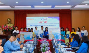 Đội hình sinh viên thực tập trường ĐH Sư phạm TP. HCM hỗ trợ xã đảo Thạnh An trong Tháng Thanh niên