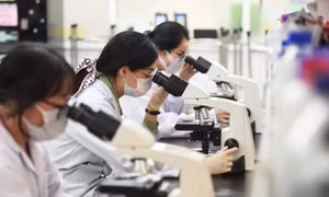 Trường ĐH Kinh tế - Luật (ĐHQG TP. HCM) có 96,17% sinh viên ra trường ở lại TP. HCM làm việc