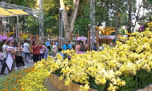 Festival Hoa lan TP. HCM lần 3 sẽ diễn ra từ ngày 16 đến 20/5 