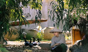 Chàng sinh viên gây ấn tượng với bộ ảnh học online ở quê ngoại