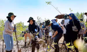 Bạn trẻ ASEAN và Nhật Bản cùng trồng cây xanh tại rừng ngập mặn Cần Giờ (TP. HCM)