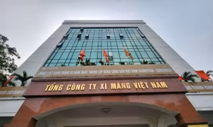 Yêu cầu xử lý, nộp khoản chênh lệch hơn 3.000 tỷ đồng khi cổ phần hóa Tổng Cty Vicem